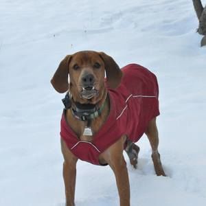 Meet your Posher, Dave